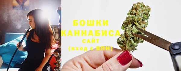 круглые Вяземский