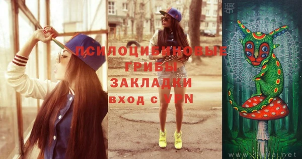 круглые Вяземский