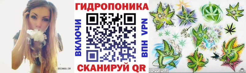 Бошки марихуана Bruce Banner  цена наркотик  гидра ССЫЛКА  Павловская 